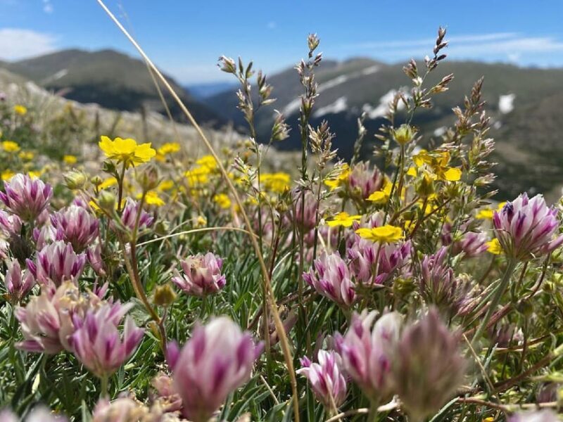 From Denver: Trip to Mount Blue Sky Summit and Glacial Lake - Final Thoughts