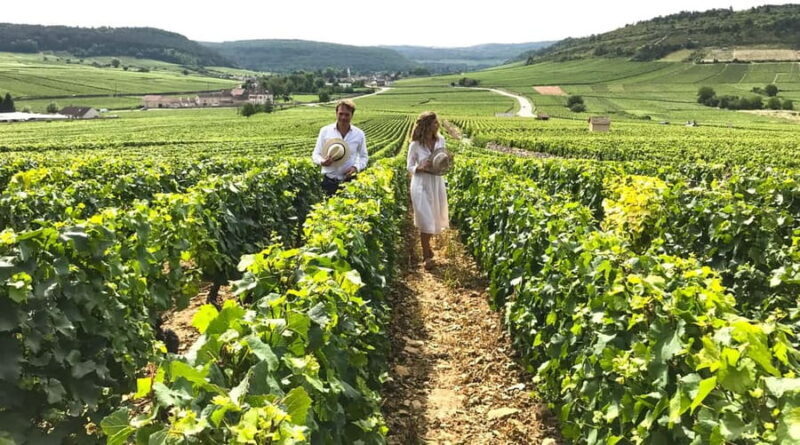 From: Dijon/Beaune: Burgundy Region Winery Tour with Lunch - Key Points