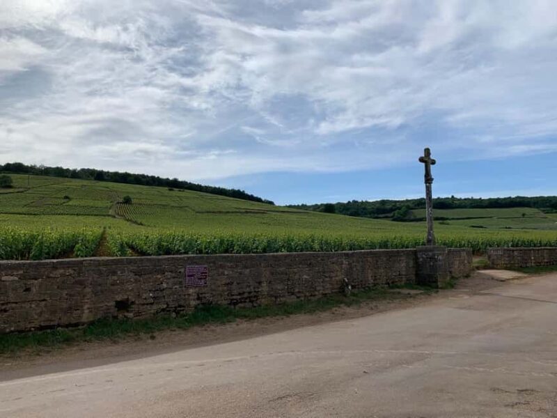 From: Dijon/Beaune: Burgundy Region Winery Tour with Lunch - Who Would Love This Tour?