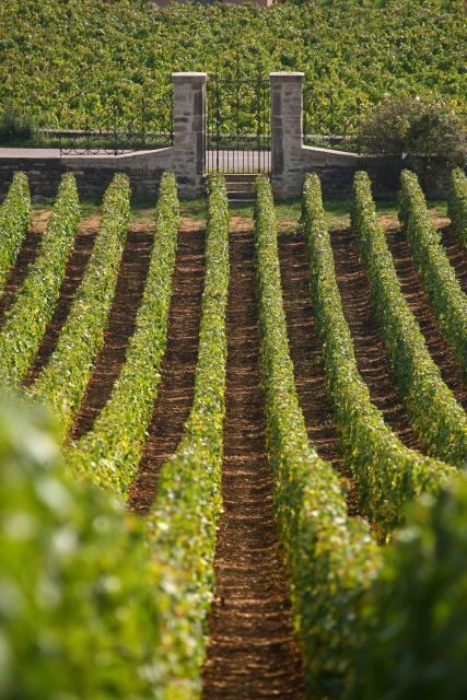 From: Dijon/Beaune: Burgundy Region Winery Tour with Lunch - FAQs