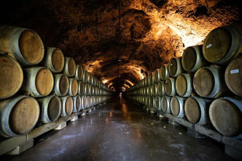 From Dijon: Burgundy Villages and Wine Tasting Tour - Key Points