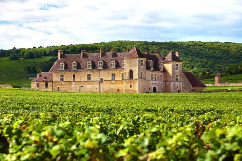 From Dijon: Côte de Nuits Wine-Tasting Tour - Key Points