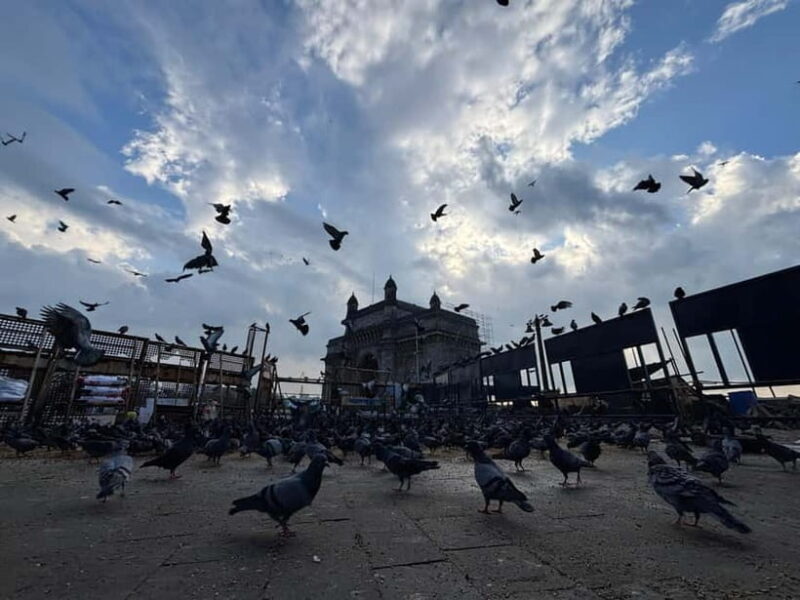 From Docks to Dreams: Mumbai's Iconic Trail - Exploring Mumbai’s Hidden and Famous Sights in a Morning
