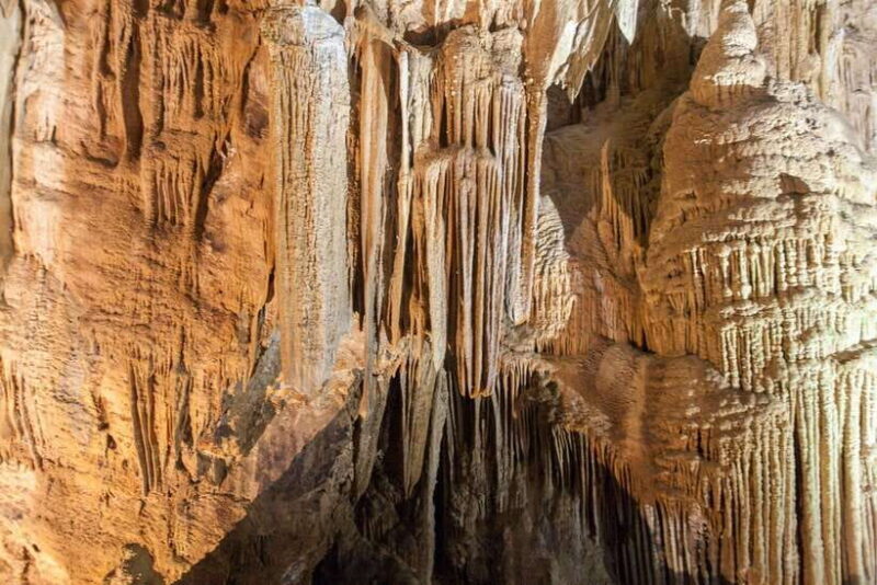 From Dong Hoi: Paradise and Phong Nha Caves Guided Tour - The Sum Up