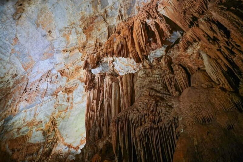 From Dong Hoi: Paradise Cave and Phong Nha Cave Day Trip - Key Points