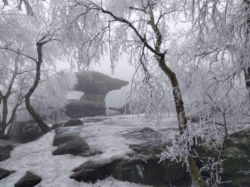 From Dresden: Bohemian & Saxon Switzerland Day Trip - FAQ
