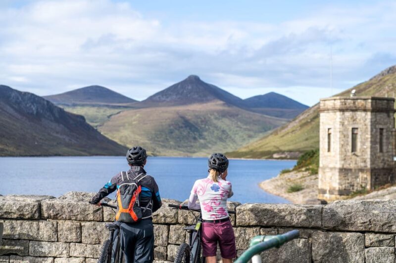 From Dublin: Electric Bike Experience - Key Points