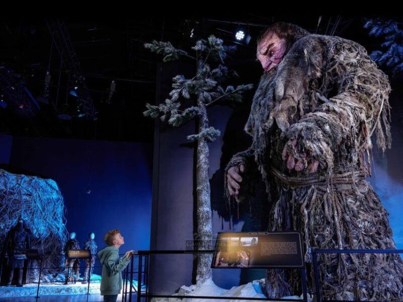 From Dublin: Game of Thrones Studio Tour with Coach Transfer - Practical Details and Tips
