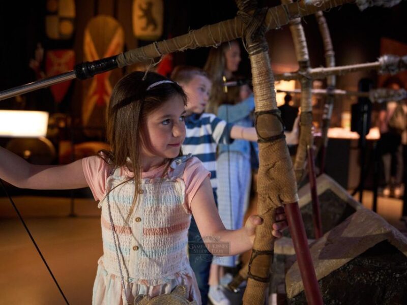 From Dublin: Game of Thrones Studio Tour with Coach Transfer - Who Will Enjoy This Tour?