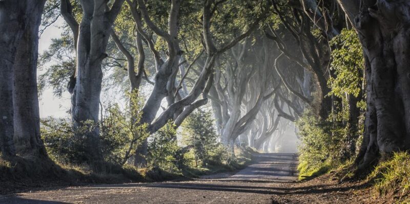 From Dublin: Giant's Causeway Tour and Whiskey Tasting - FAQ