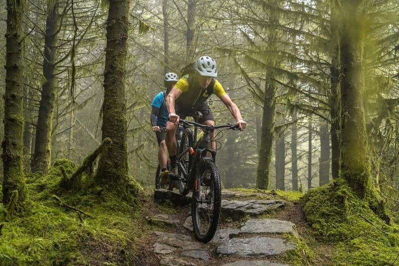 From Dublin: Mountain Bike Experience - Key Points