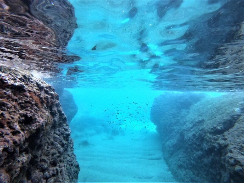From Dubrovnik: 4-hour Elafiti Islands Private Boat Tour - The Experience in Action: Real Traveler Perspectives