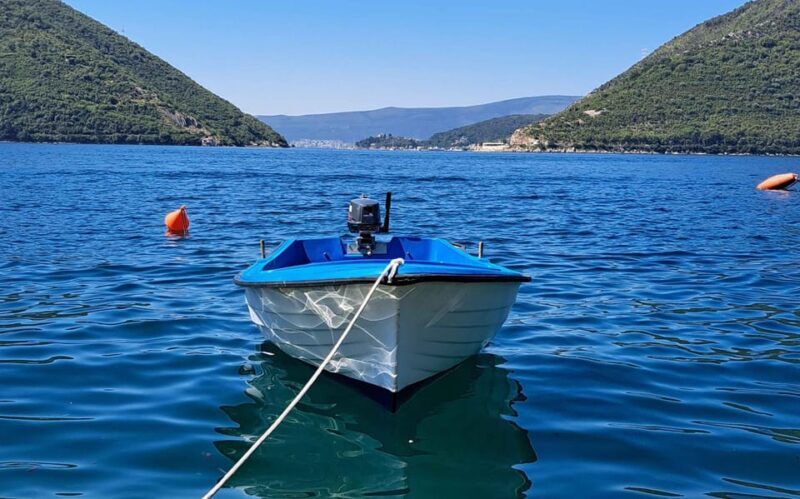 From Dubrovnik: Bay of Kotor Montenegro Private Tour - Who Should Consider This Tour?