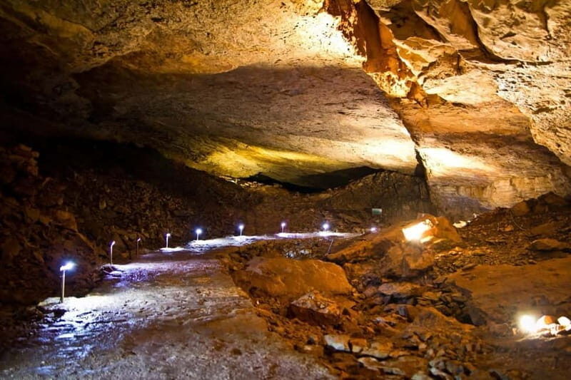 From Dubrovnik: Bosnia Day Tour, Cave, Ombla & Trsteno - Key Points