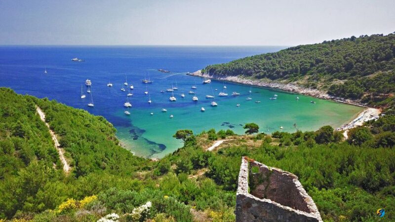 From Dubrovnik: Full-Day Private Boat Tour of Elafiti Island - Discovering the Elafiti Islands: A Closer Look