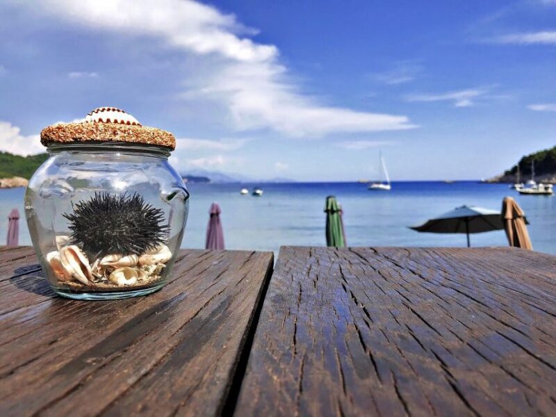 From Dubrovnik: Full-Day Private Boat Tour of Elafiti Island - Authentic Experiences and Authenticity