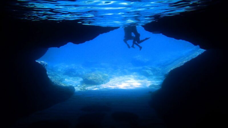 From Dubrovnik: Full-Day Private Boat Tour of Elafiti Island - Is This Tour Right for You?