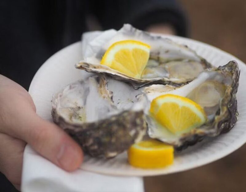 From Dubrovnik: Full-Day Tour to Ston & Oyster Tasting - From Dubrovnik: Full-Day Tour to Ston & Oyster Tasting — A Genuine Taste of Dalmatia