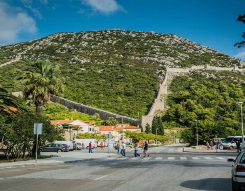 From Dubrovnik: Full-Day Tour to Ston & Oyster Tasting - Transportation and Group Size