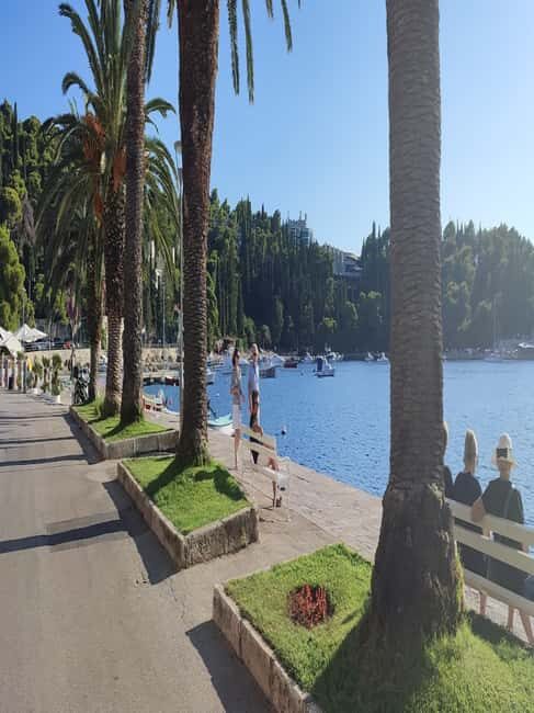 From Dubrovnik: Half-Day Wine Tasting and Cavtat City Tour - An Authentic Croatian Experience in a Compact Package
