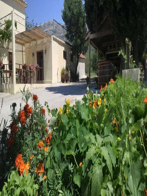 From Dubrovnik: Half-Day Wine Tasting and Cavtat City Tour - Who Should Consider This Tour?