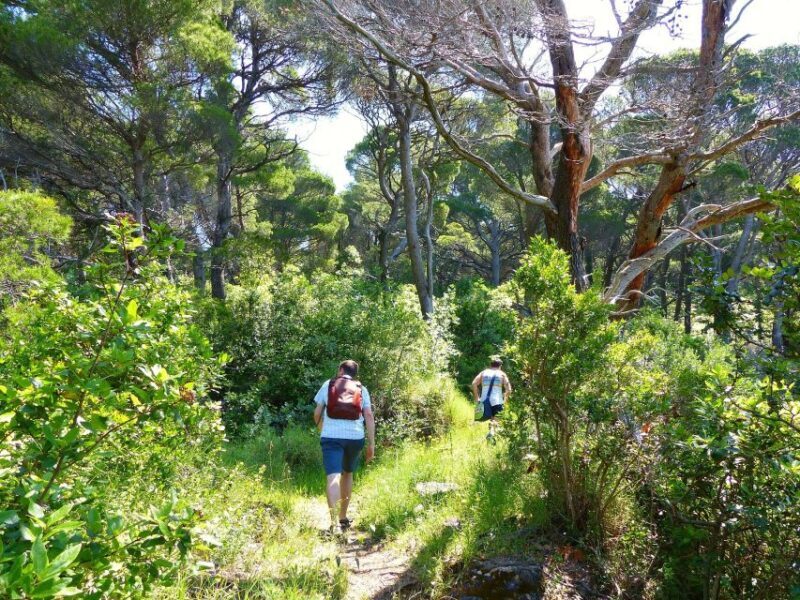 From Dubrovnik: Hiking & Swimming on Koloep Island Day Trip - Who Will Love This Tour?