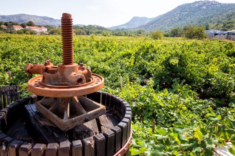 From Dubrovnik: Island of Korula with wine tasting - Pricing and Value