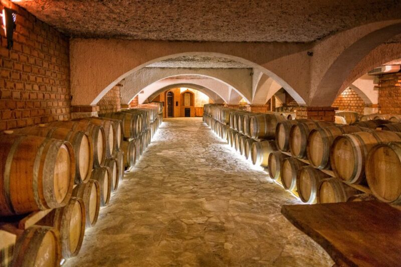From Dubrovnik: Island of Korula with wine tasting - Final Thoughts