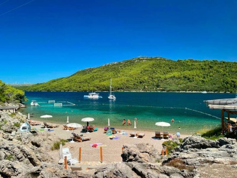 From Dubrovnik: Mljet National Park & Elaphiti Islands Trip - What to Expect & Practical Tips