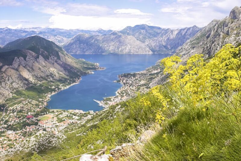 From Dubrovnik: Montenegro Day Trip - Value and Practicalities
