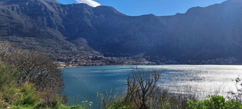 From Dubrovnik: Montenegro Full-Day Tour - The Experience: What Travelers Say