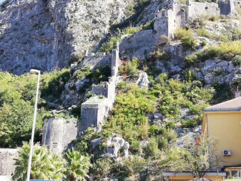 From Dubrovnik: Montenegro, Kotor City Tour - Frequently Asked Questions