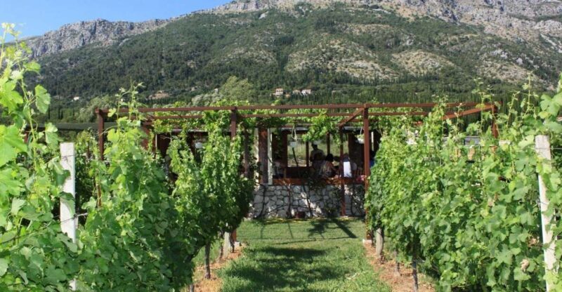 From Dubrovnik Oyster and Wine Tasting Tour in Ston Bay - Key Points