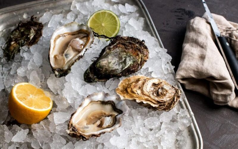 From Dubrovnik Oyster and Wine Tasting Tour in Ston Bay - Who Will Love This Tour?