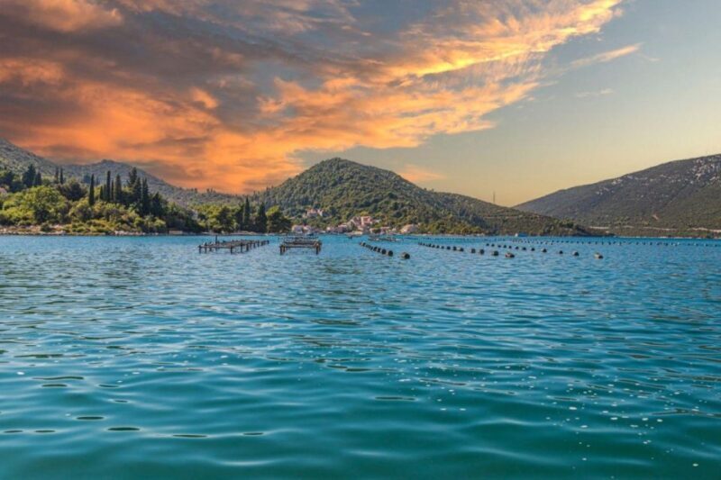 From Dubrovnik Oyster and Wine Tasting Tour in Ston Bay - The Sum Up