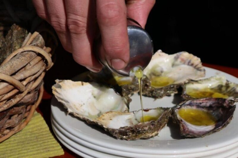 From Dubrovnik Oyster and Wine Tasting Tour in Ston Bay - FAQ