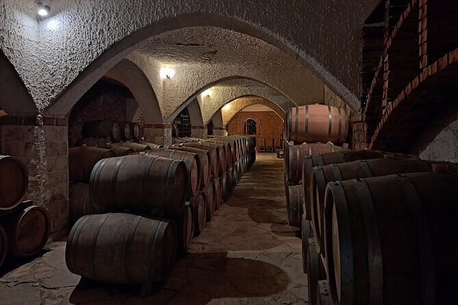 From Dubrovnik: Peljesac Wine Tasting Private Tour - Food & Beverage Considerations