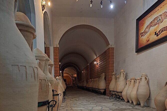 From Dubrovnik: Peljesac Wine Tasting Private Tour - Price and Value