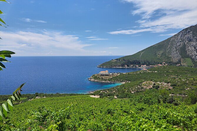 From Dubrovnik: Peljesac Wine Tasting Private Tour - FAQs
