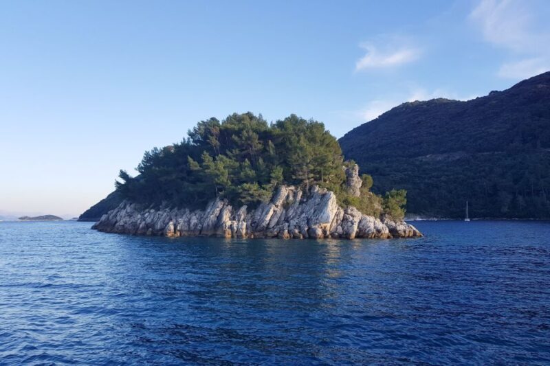 From Dubrovnik: Pvt Speedboat Cruise to Mljet&Sipanska Luka - The Sum Up: Is This Tour Worth It?