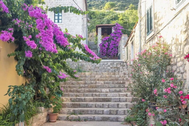 From Dubrovnik: Ston Town, Peljesac & Saltworks Private Tour - Final Verdict
