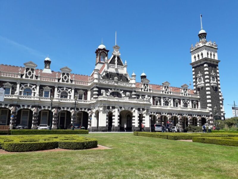 From Dunedin: City, Otago Peninsula & Albatross Guided Tour - From Dunedin: City, Otago Peninsula & Albatross Guided Tour — A Detailed Review