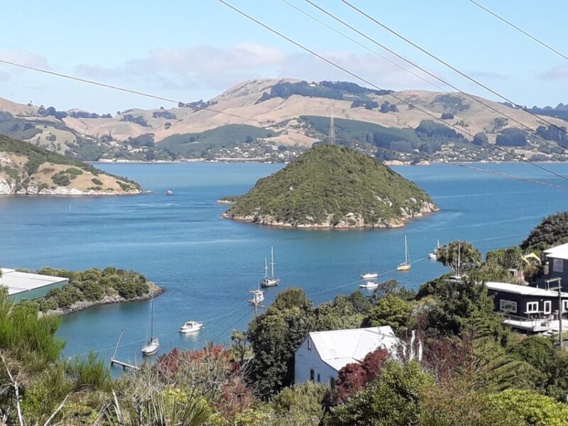 From Dunedin: City, Otago Peninsula & Albatross Guided Tour - FAQ