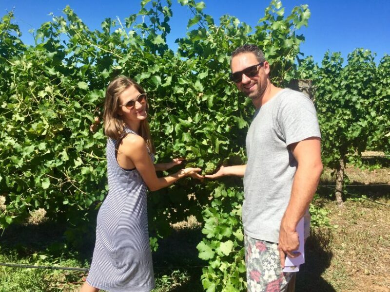 From Dunsborough/Busselton: Margaret River Wine Adventure - A Deep Dive into the Margaret River Wine Adventure