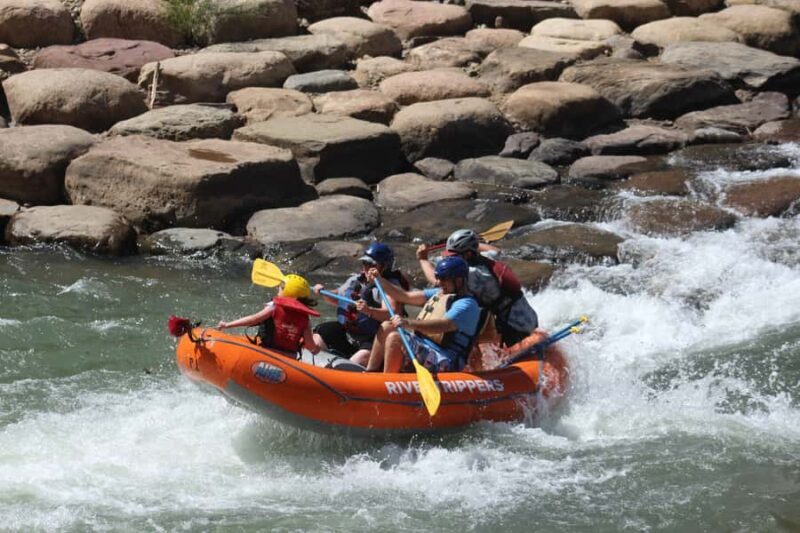 From Durango: Animas River Whitewater Rafting - Key Points