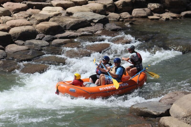 From Durango: Animas River Whitewater Rafting - Authentic Reviews: Voices from Past Participants