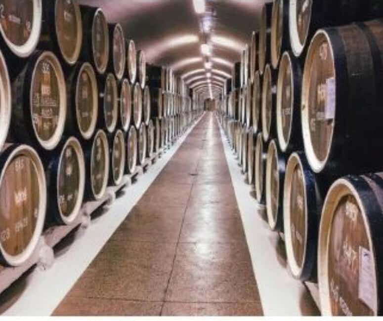 From Durres Golem: Cape of Rodon Castle & Wine Tasting Tour - FAQ