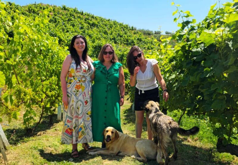 From Durrës/Golem: Vineyards, Wine Food Tasting & Boat Tour - Key Points