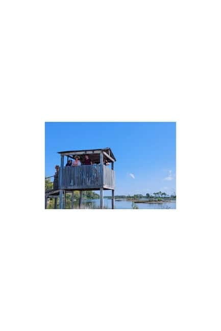 From Durres: Karavasta Lagoon & Apolonia Ancient City Tour - A Complete Look at the Experience