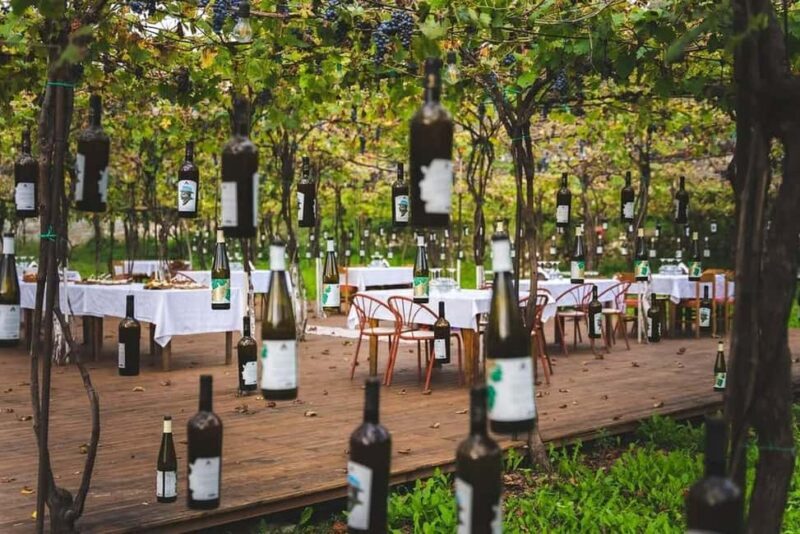 From Durrës: Wine Tasting at Alpeta Winery in Berat - Key Points